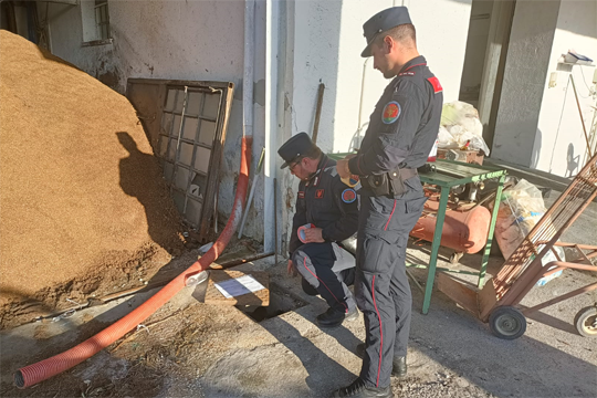 A Sessa Aurunca controllo dei Carabinieri Forestali agli scarichi di un frantoio