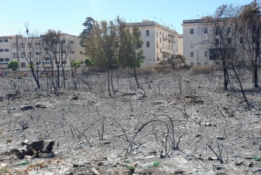 Monitoraggio inquinanti atmosferici a Napoli dopo incendi dello scorso fine settimana: aggiornamenti