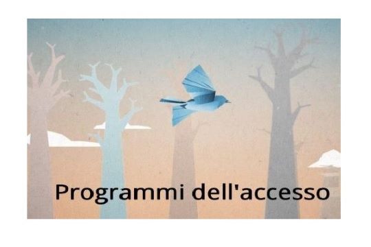 Rai - Programmi dell'accesso, sabato 12 luglio 2025