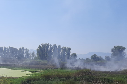 Incendio San Giuseppe Ves. del 31 luglio, livelli di diossine entro valore di riferimento