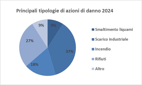 Principali tipologie di azioni di danno 2024
